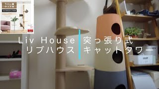 [LivHouse]突っ張り式キャットタワー、レビュー