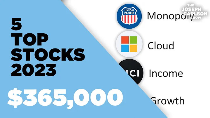 5 Stocks Im Buying In A Panic | Joseph Carlson Ep....
