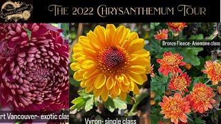 The 2022 Chrysanthemum Tour