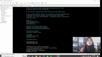 cara konfigurasi control panel hosting EHCP server