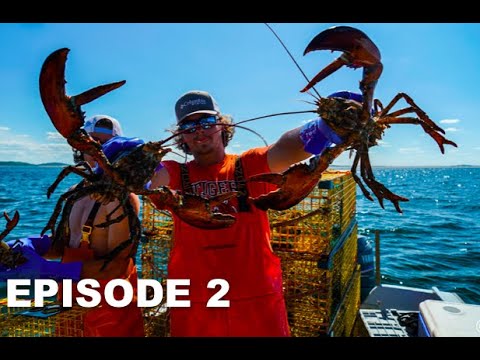 BIG CRABS! - Hauling & Re-Setting My Lobster & Crab Fishing Gear