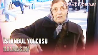 Cevriye Evden Kaçtı! -  Yaprak Dökümü Özel Bölüm