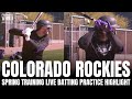 Kris bryant  brendan rodgers face colorado pitchers in live batting practice at rockies camp 2024