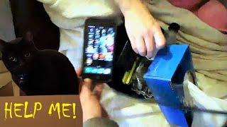 Stacking 8 Things On My Cat Details