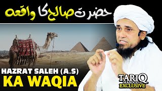 Hazrat Saleh (AS) Ka Waqia | Mufti Tariq Masood