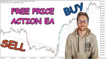 Free mql5 Coding Tutorial - Simple Price Action EA for MT5