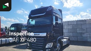 DAF XF 480 - 2022 - BAS World