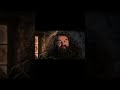 The Harry Potter Glow-Up 🪄 144p vs 4K what shall I do next?
