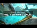 Fishing For Answers: What Is Sustainable Seafood?