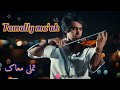 AMR DIAB TAMALLY MA AK Violincover اجرای آهنگ تملی معاک با ویولن رامین خانی AMR DIAB TAMALLY MA AK Violincover اجرای آهنگ تملی معاک با ویولن رامین خانی
