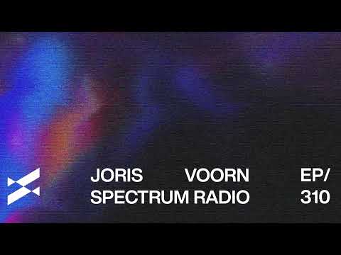 Spectrum Radio 310