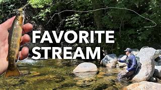 Native brook trout in an ideal stream in New Hampshire (Part 2 of 3), tenkara fly fishing - July '26