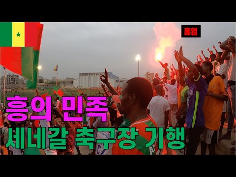 홍염과 고성이 오가는 세네갈 축구장 유일한 외국인 | 2/210