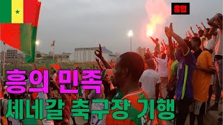 홍염과 고성이 오가는 세네갈 축구장 유일한 외국인 | 2/210