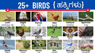 Birds | ಹಕ್ಕಿಗಳು | spoken English Kannada | vocabulary |