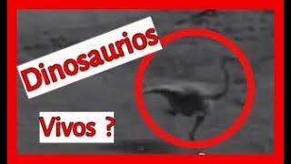 Dinosaurios Vivos Entre Nosotros ? - Dinosaurios Vivos En La Tierra