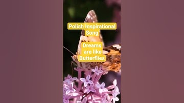 Thumbnail of PolishInspirationalSong /Alchemy of Dreams/ Alchemia Marzeń #shorts