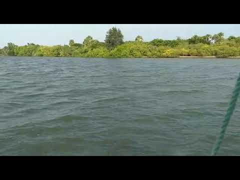 Mudaliyar kuppam boat house - ECR - TN - INDIA - LEISURE - TRAVEL - TOURISM - GUNAs LenSpeaks