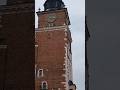 Dragon festival, Krakow Poland #fireworks #poland #dragon #festival #europe #travel #travelvlog