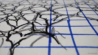 Architecting Deterministic AI The G.A.A.P