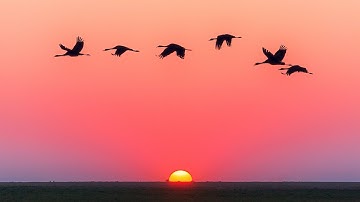 sunrises video|beautiful sun rises video|non copyright sunrises video|sunrise videos|sunrise video