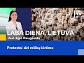 Protestai dėl miškų kirtimo | Laba diena, Lietuva | 2023-11-17