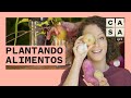 🍠 Como fazer uma horta com alimentos da sua cozinha | Plante Você Mesmo | Carol Costa