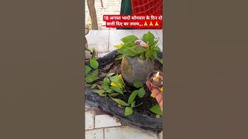 मनोकामना पूर्ण करने के लिए सोमवार के दिन करें उपाय#shiv #pradeepmishrajidhankeupay