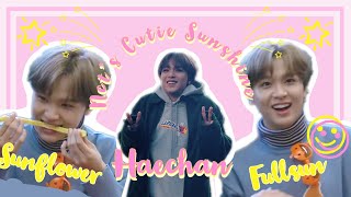 Haechan is Nct’s cutie sunshine