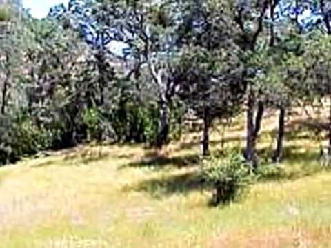 3441 Appaloosa Way, Angels Camp, CA home video tour