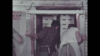 The Proof Is Everywhere 1964