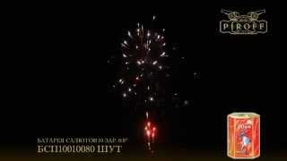 БСП10010080 Шут