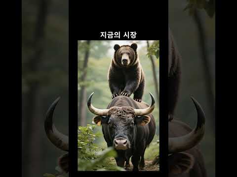 지금은 곰들이 시장을 장악하고 있어요