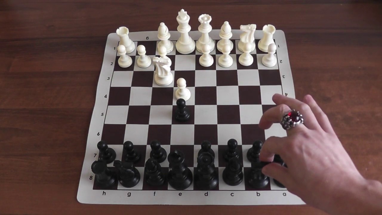Черные шахматы как играть. Дебют в шахматах итальянская партия. Шахматы партии черных. Итальянская партия за черных. Чёрные гроссмейстеры в шахматах.