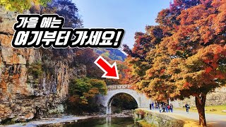 🚌 가을에 꼭 가야할 여행지 1위!  걷기 좋고 안전한 국내 최고 13km 힐링 숲길 | 📸 대중교통 당일치기 여행 | 트레킹 | 🇰🇷 Forest Trekking in Korea screenshot 1
