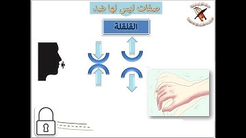 تعلم قراءة القرآن وقواعد التجويد - صفات الحروف - صفة القلقلة