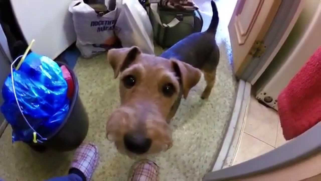 Дэу эни на татарском