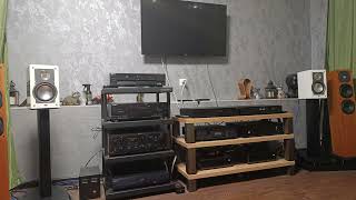 ELAC BS 203.2 Anniversary Edition - YouTube