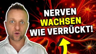 Entdeckung: Mach DAS und deine Nerven reparieren sich von selbst!