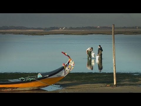 Λιμνοθάλασσα του Αβέιρο: «Πολύτιμο»... - futuris