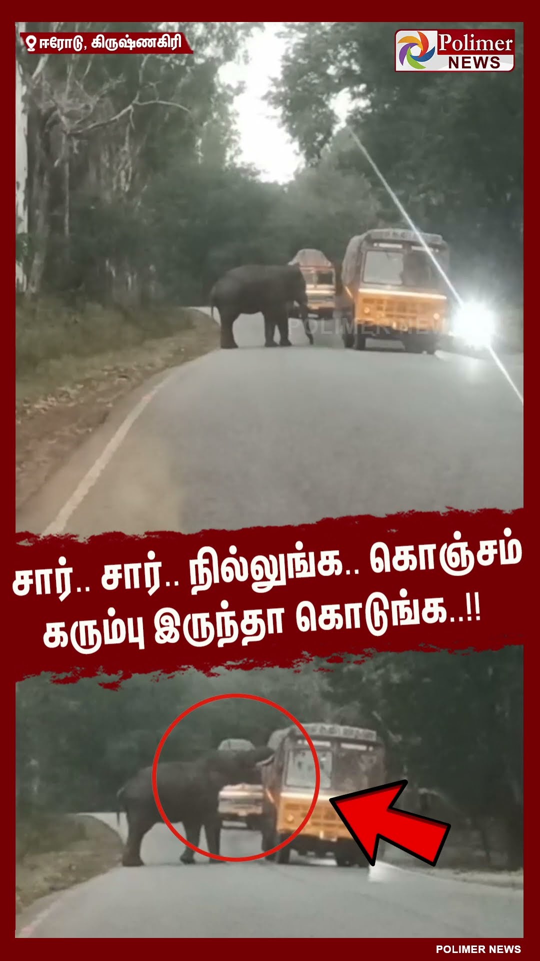 சார்.. சார்..நில்லுங்க..கொஞ்சம் கரும்பு இருந்தா கொடுங்க..!! #shorts | #elephant