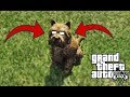 HAYALET KÖPEK ! GTA 5 SIRLARI