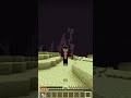 Minecraft ma spawno nell'end! #shorts #minecraftshorts #minecraft #short