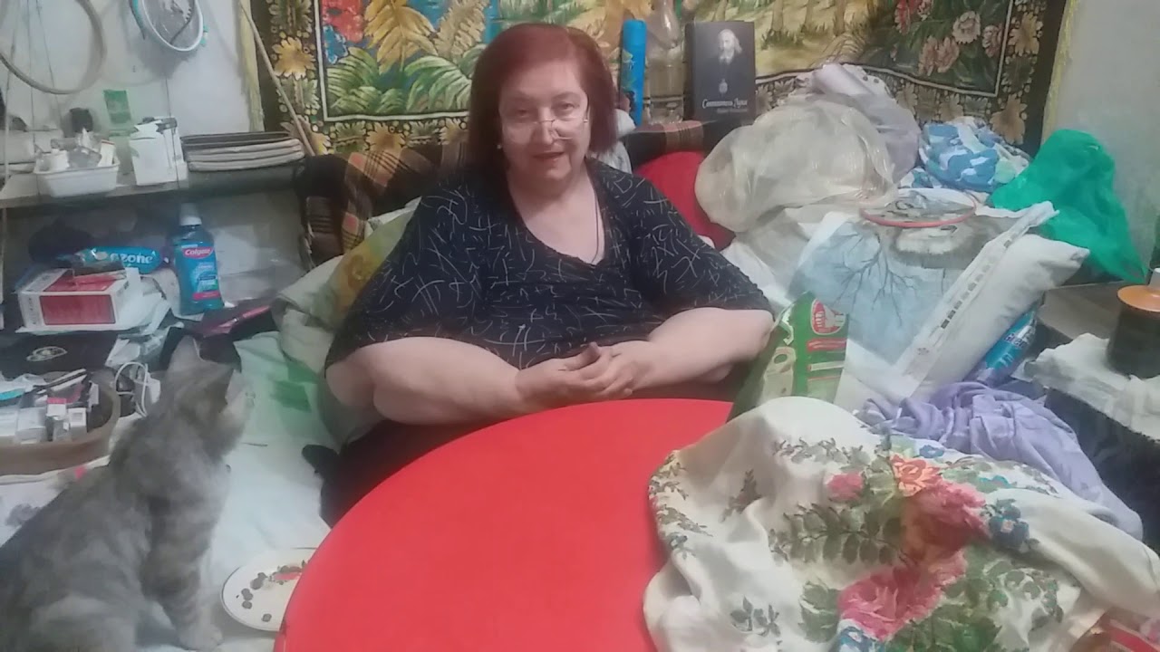 Кормление кота федки! И другое. - YouTube