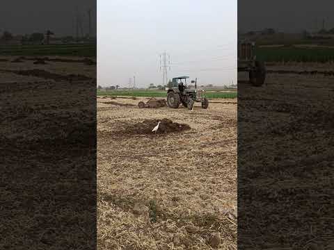 بدير السماد البلدي 