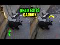 Black Bear Walks Out of Garage Then Startles Homeowner