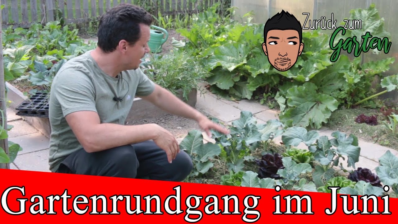 Gartenrundgang Juni Gemüsegarten, Obstgarten, Staudengarten YouTube