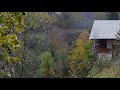 Best remedy for sleep. Relaxing Rain in Farmhouse, Gentle Rain & Thunder Sounds in Nature to Relax