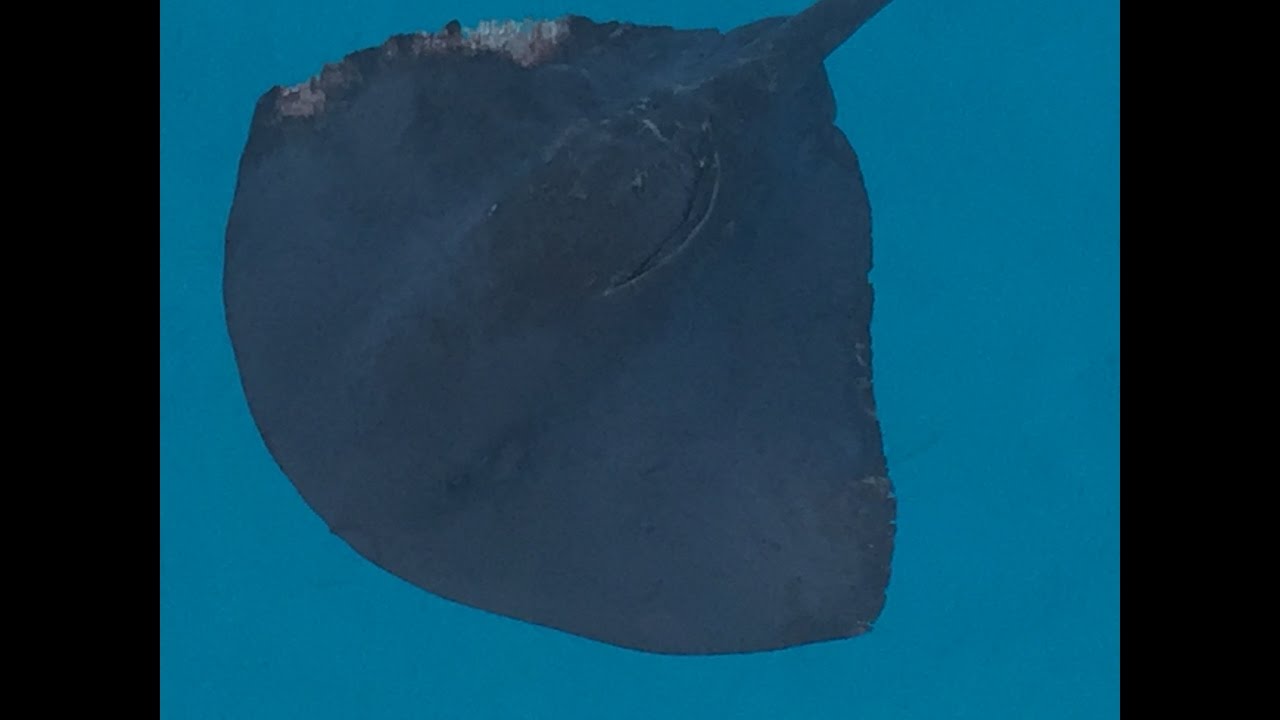 ⁣Vacanze in barca a vela, con quella voglia di andare oltre