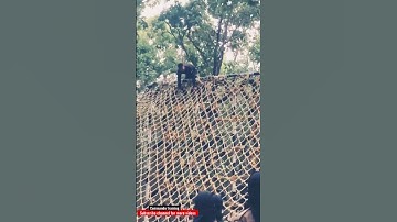 Spider web #commando #training #viralvideo #shorts